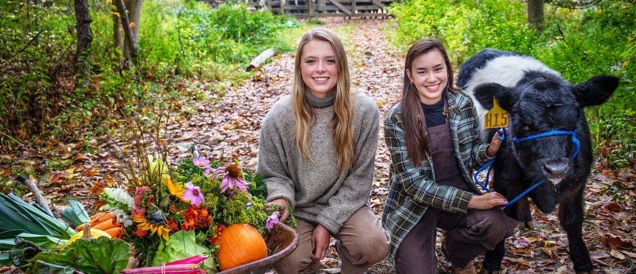 Cannela 6 e1664301665790