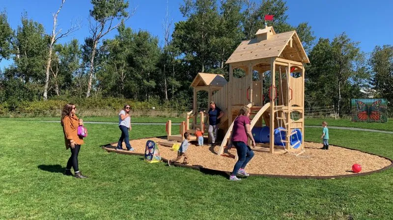 Copy of IMG 7600 1 scaled e1639066857383 800x448