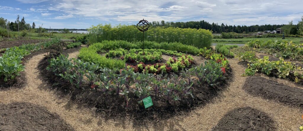 Copy of SJB IMG 7289 1 scaled e1645126523745