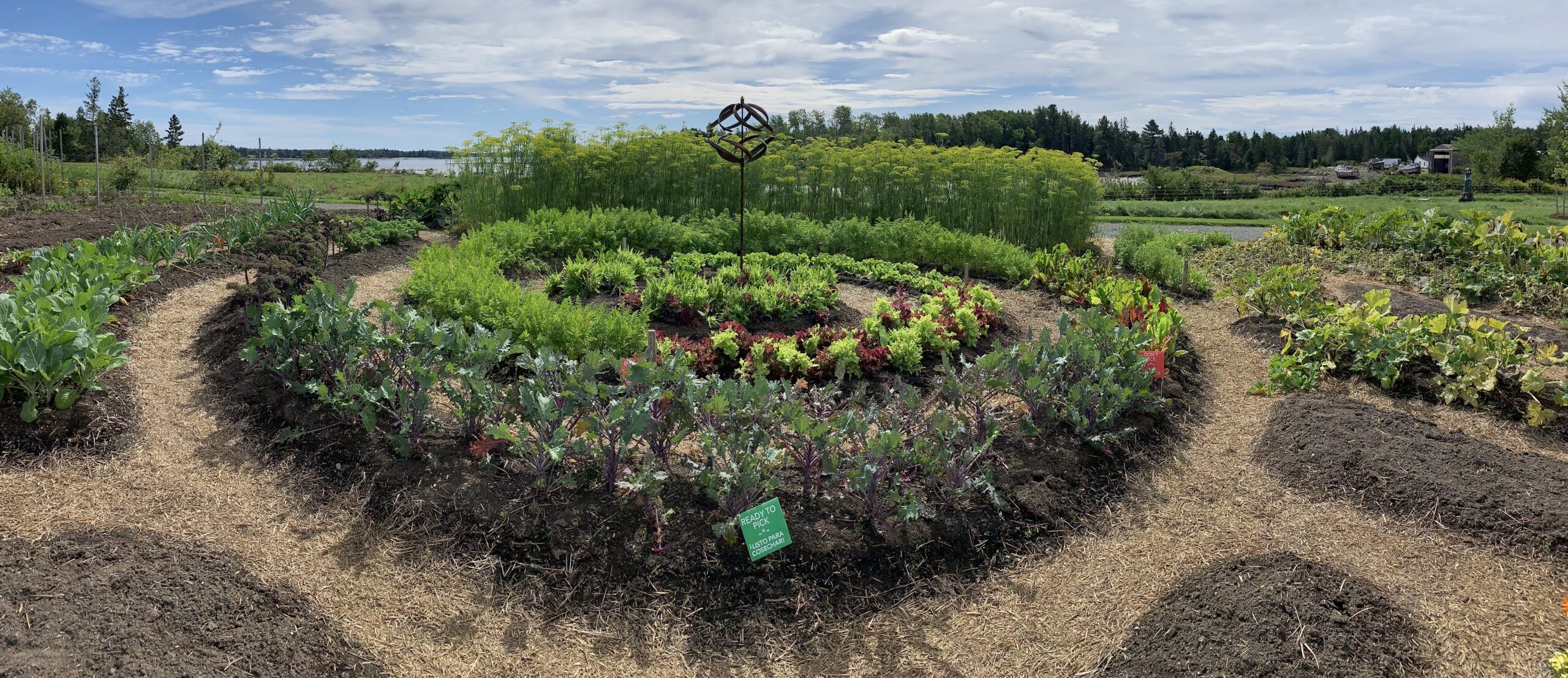 Copy of SJB IMG 7289 1 scaled e1645126523745