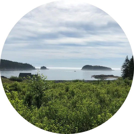 Cutler Harbor Access Project 1200x900@2x