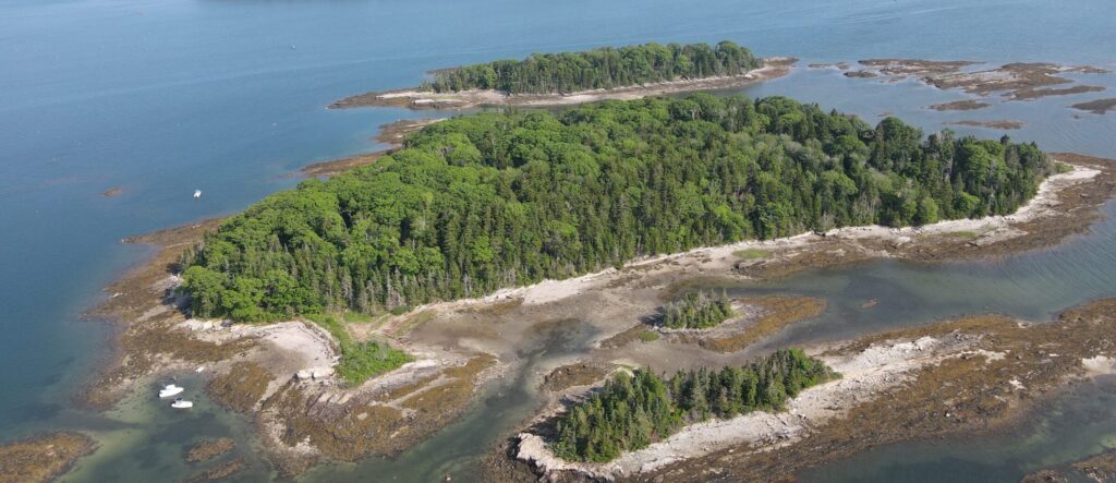 DJI 0140 scaled e1647541400291