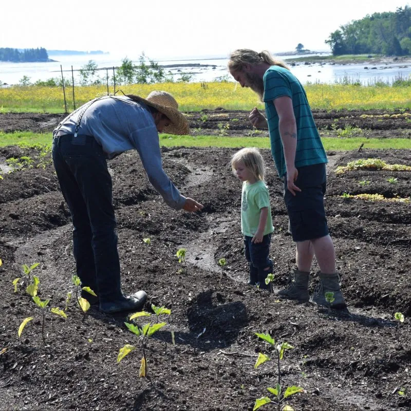 DSC 0066 scaled e1639066999595 800x800