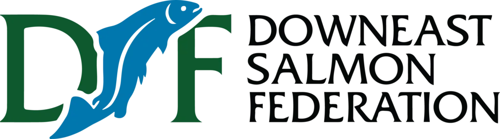 DSF LOGO Transparent Background1