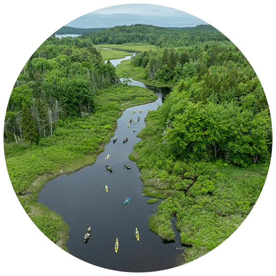 Downeast Update Orange River Round 550x550 1