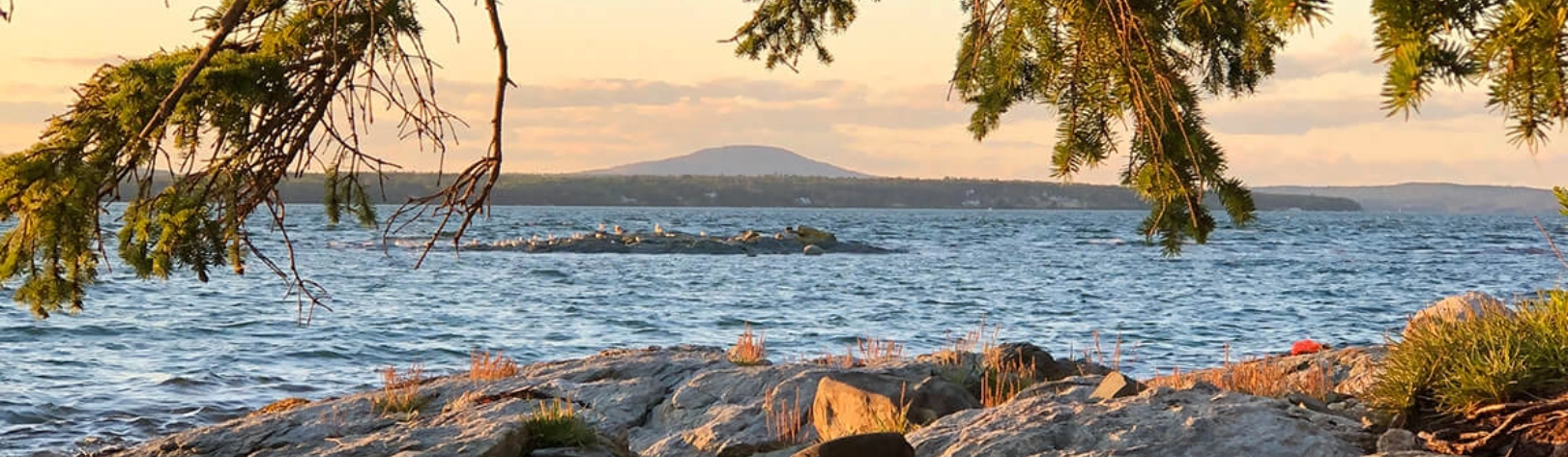 F4C85788 9B7E 4F78 906B 79B02E0EFA8E 1200x1572@2x