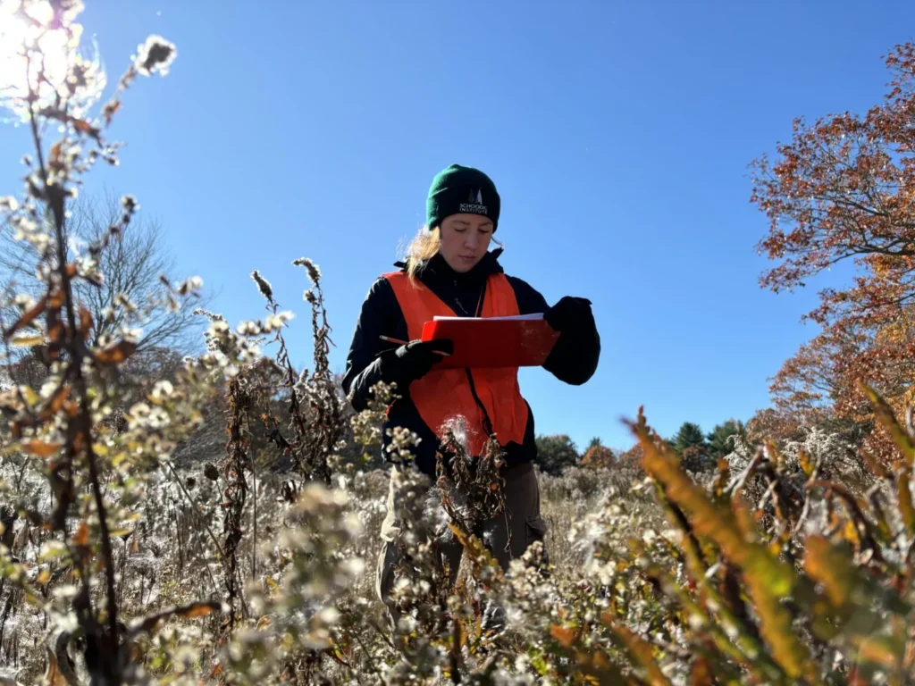 IMG 3689 Suzannah Buzzell 1536x1152