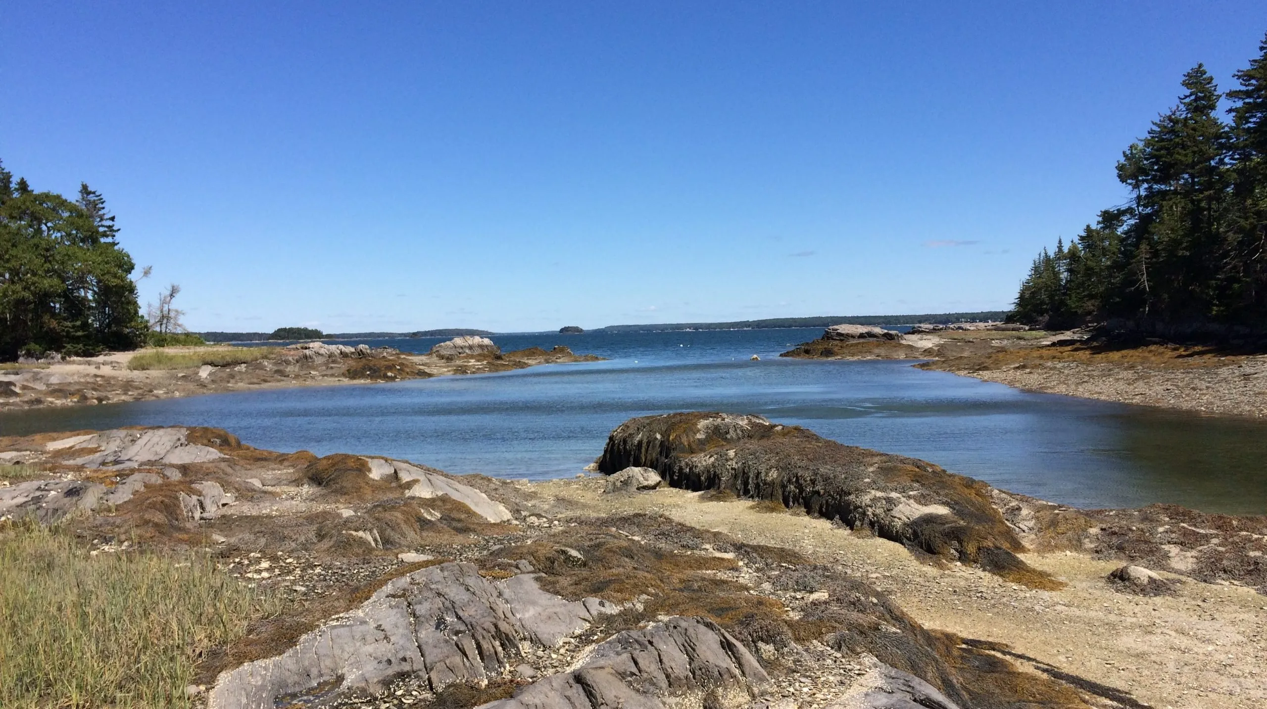 IMG 5167 scaled e1626371199670