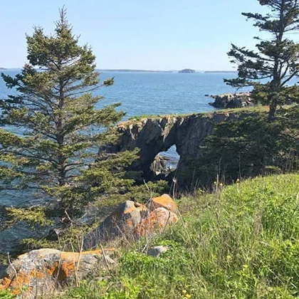 Island for Birds 420x420