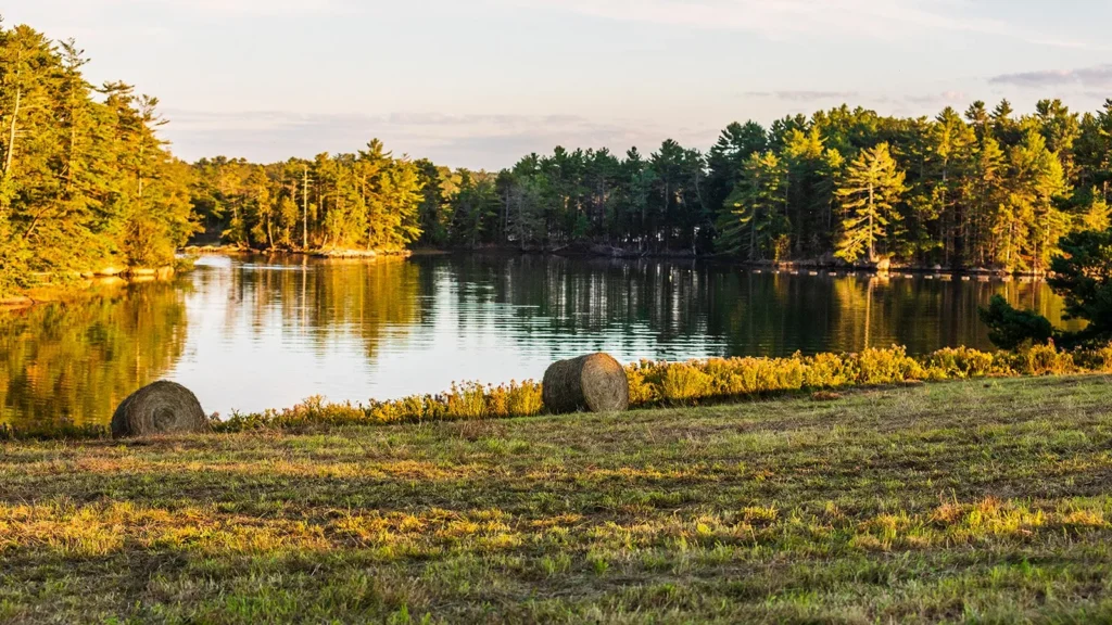 MCHT FavoritePreserve Inset Woodward 1600x900 1