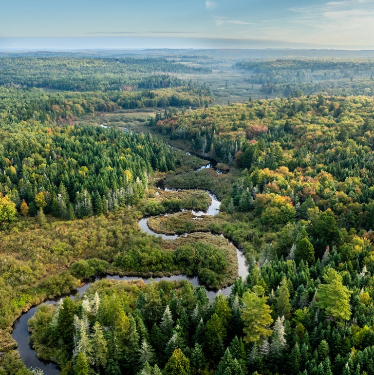 MCHT Inset Big Bold 1000x1000@2x 768x770