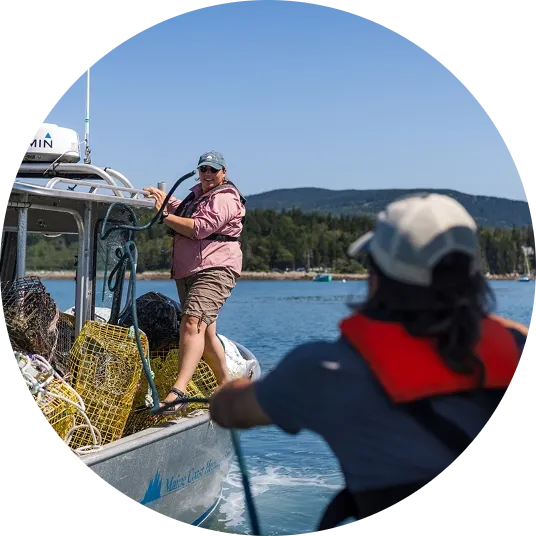 MCHT Marshall Clean Up 90 1200x800@2x