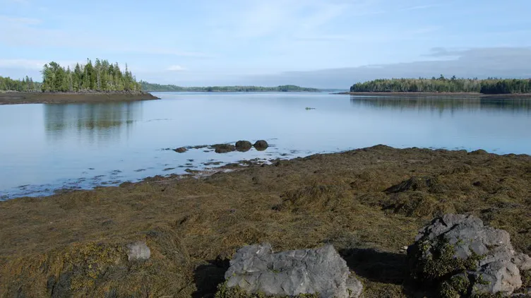 MCHT NewsletterSFTC 2025 r7 email3