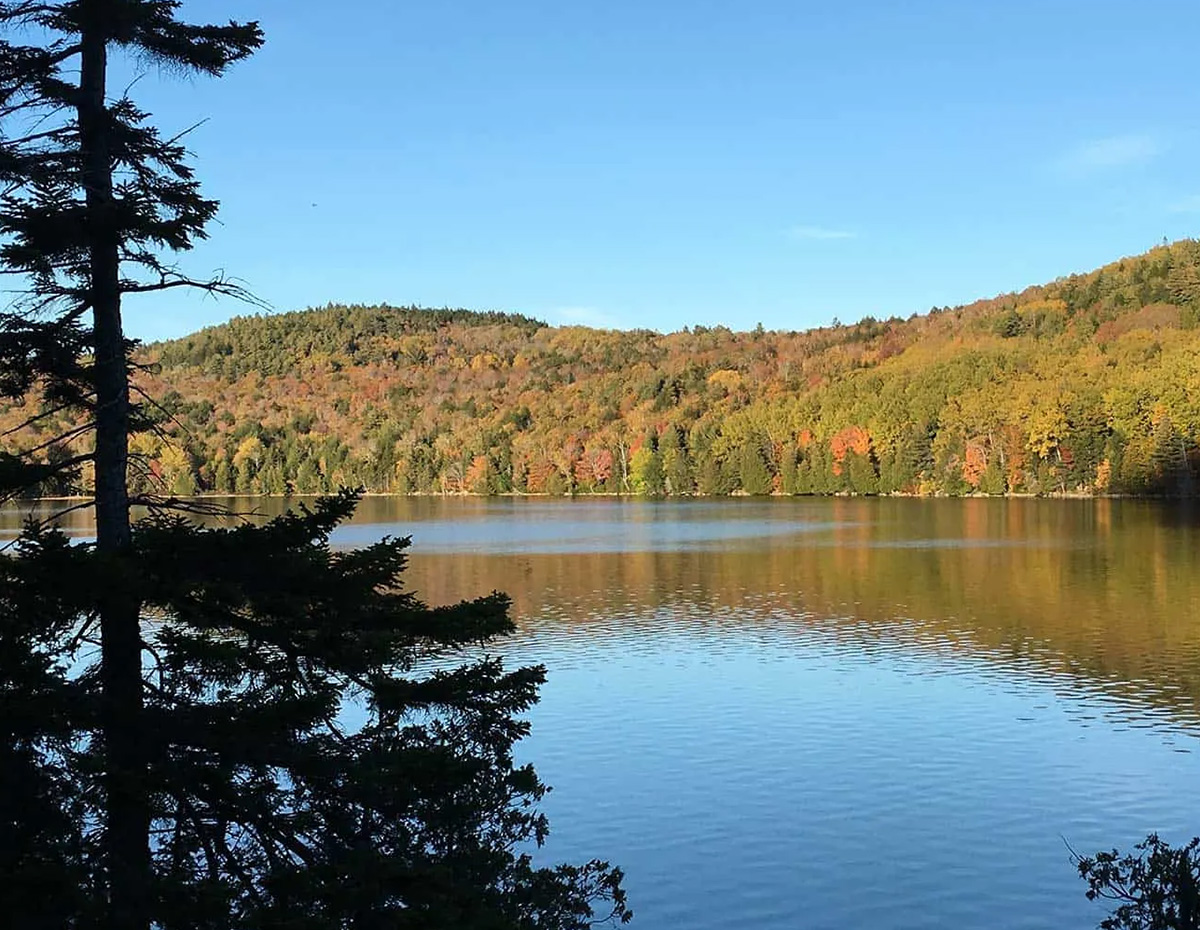 MDI Feature 600x465 Views