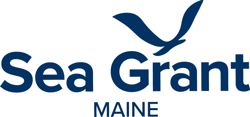 MaineSG Wide DkBlue Digital