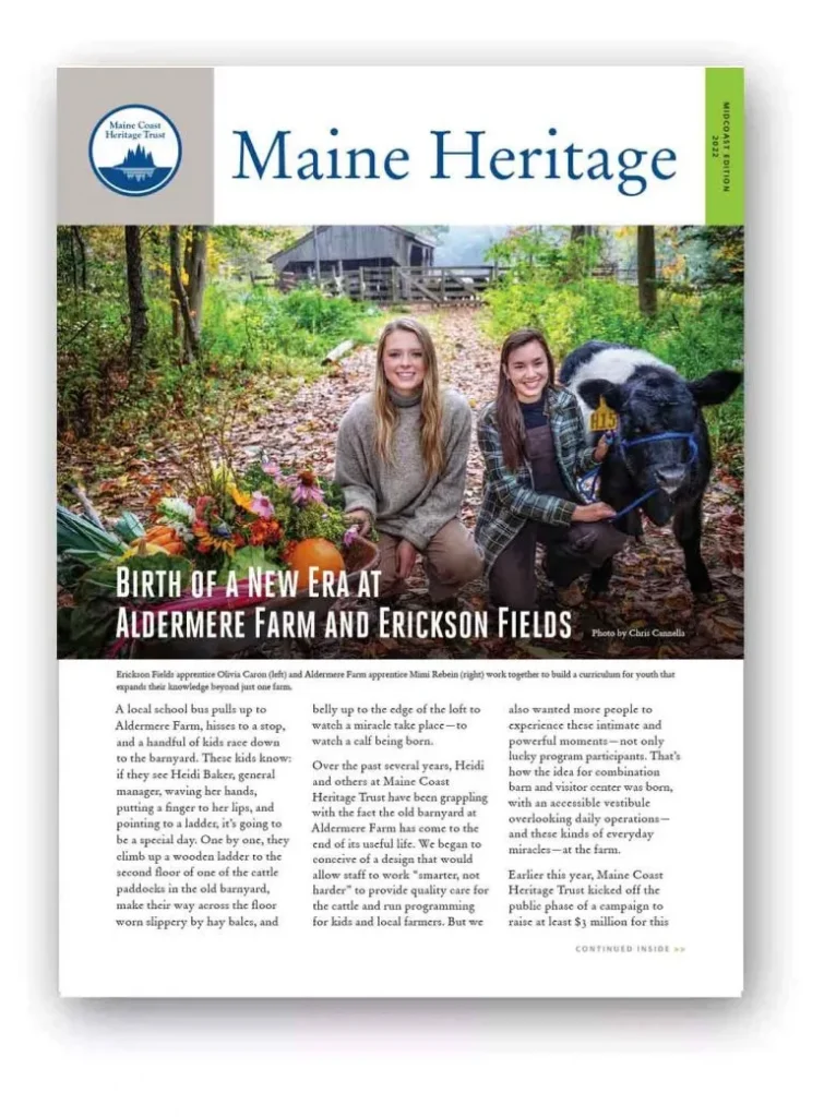 Newsletter thumbnails 2022 fall midcoast 768x1041