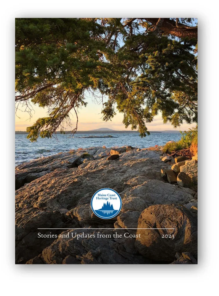 Newsletter thumbnails 2023