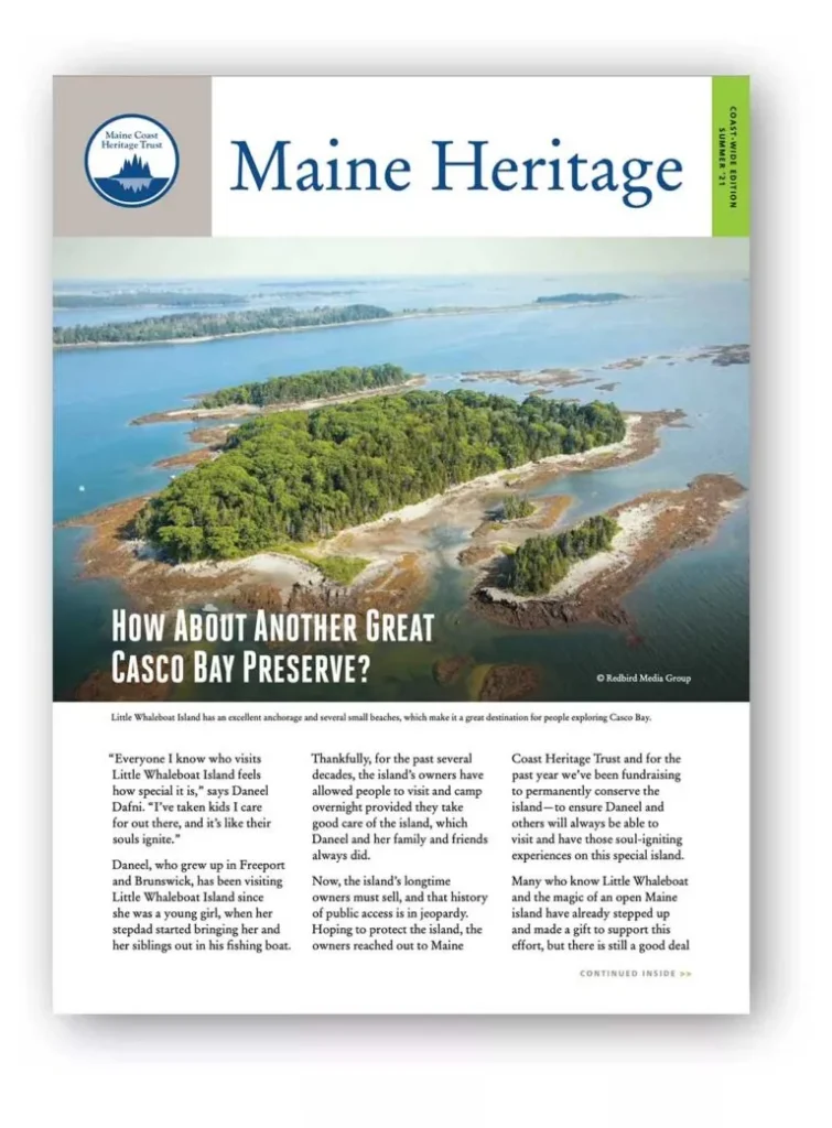 Newsletter thumbnails coastwide 768x1041