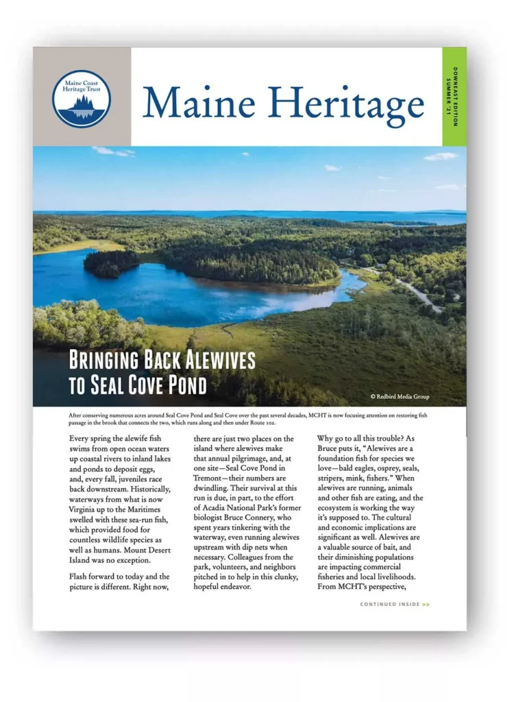 Newsletter thumbnails downeast
