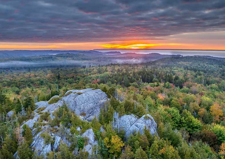 Ryan Malagara 2 786x556