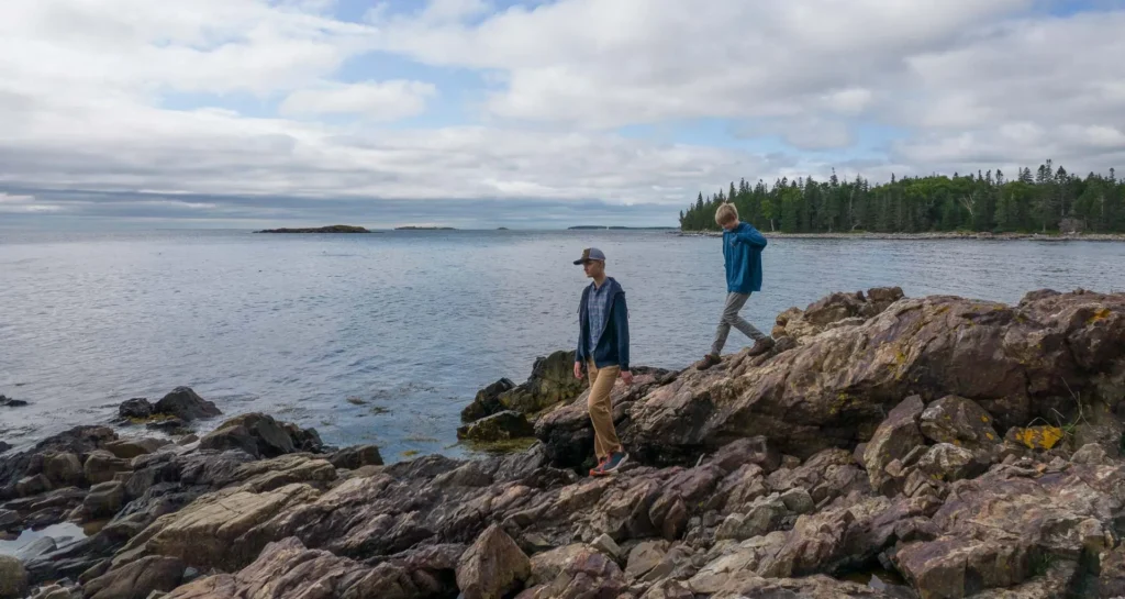 Sheep Islanddji 0558 e1639068239846