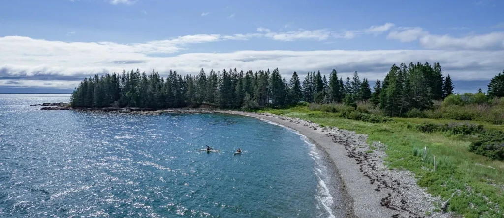 Sheep Islanddji 0565 e1639068133703