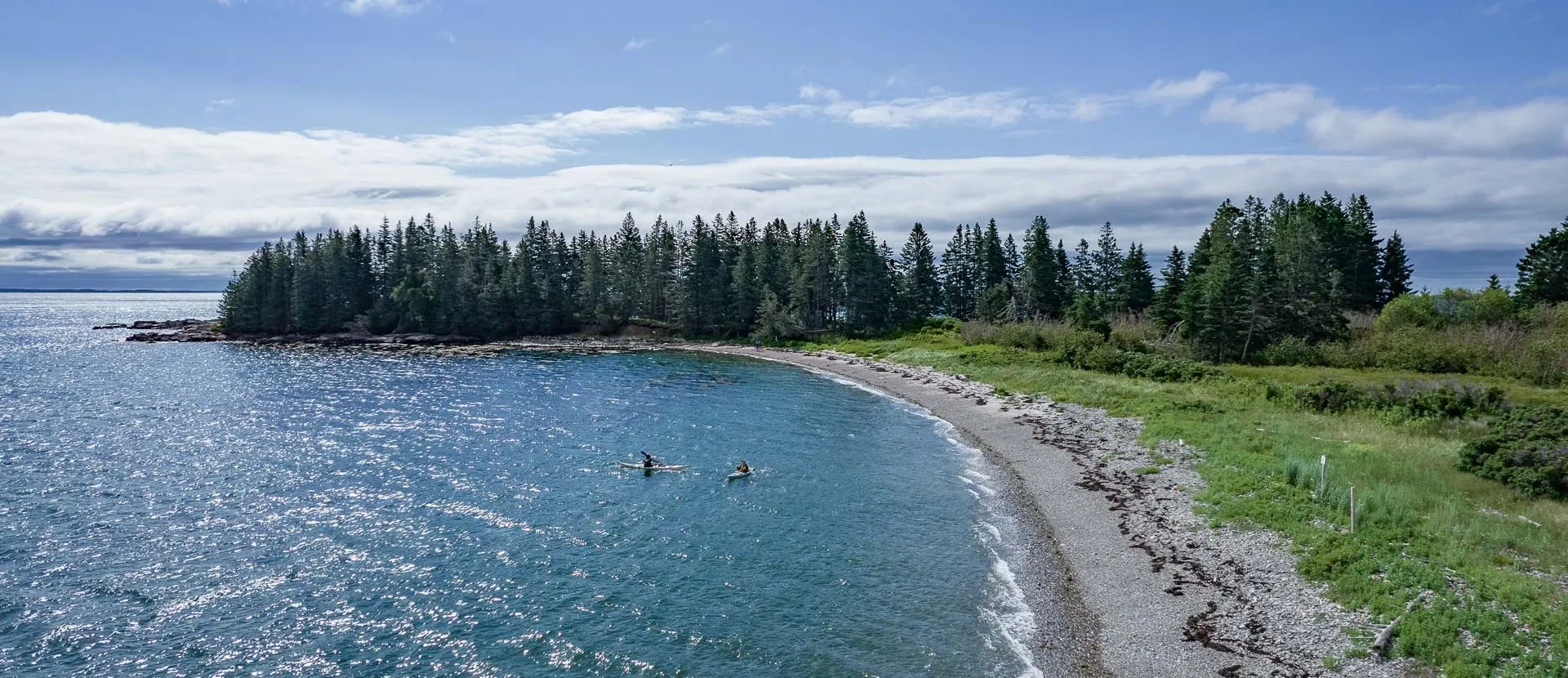 Sheep Islanddji 0565 e1639068133703