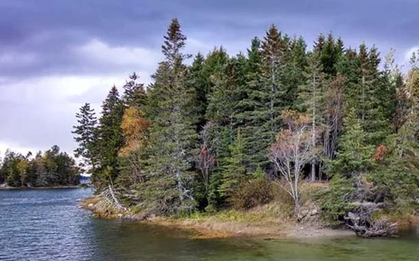 Victor Trodella photo 610x380