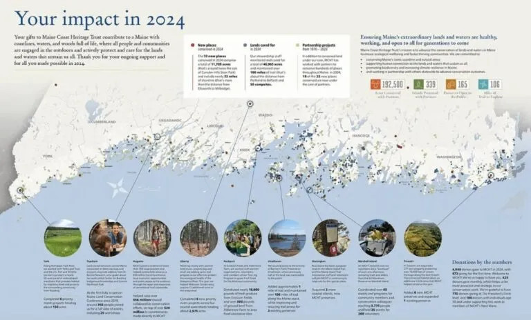 annual report 768x464