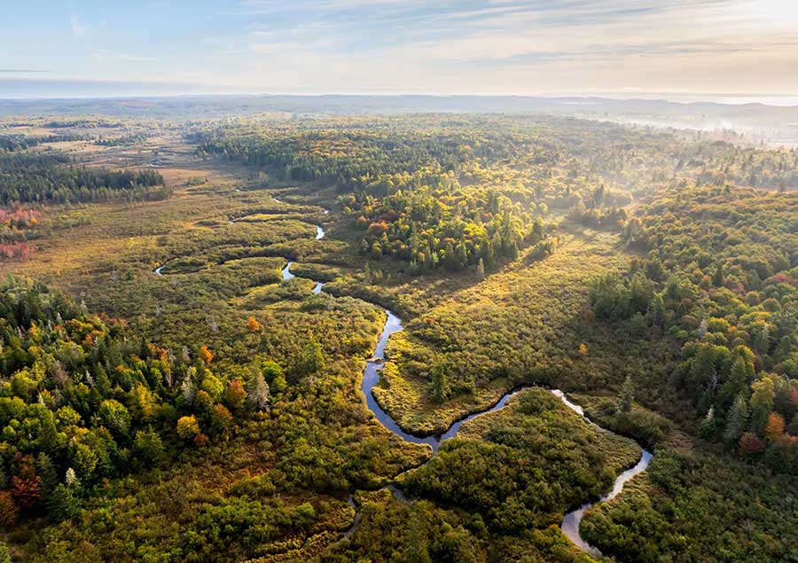 bold coast last photo malagara 1 900x635