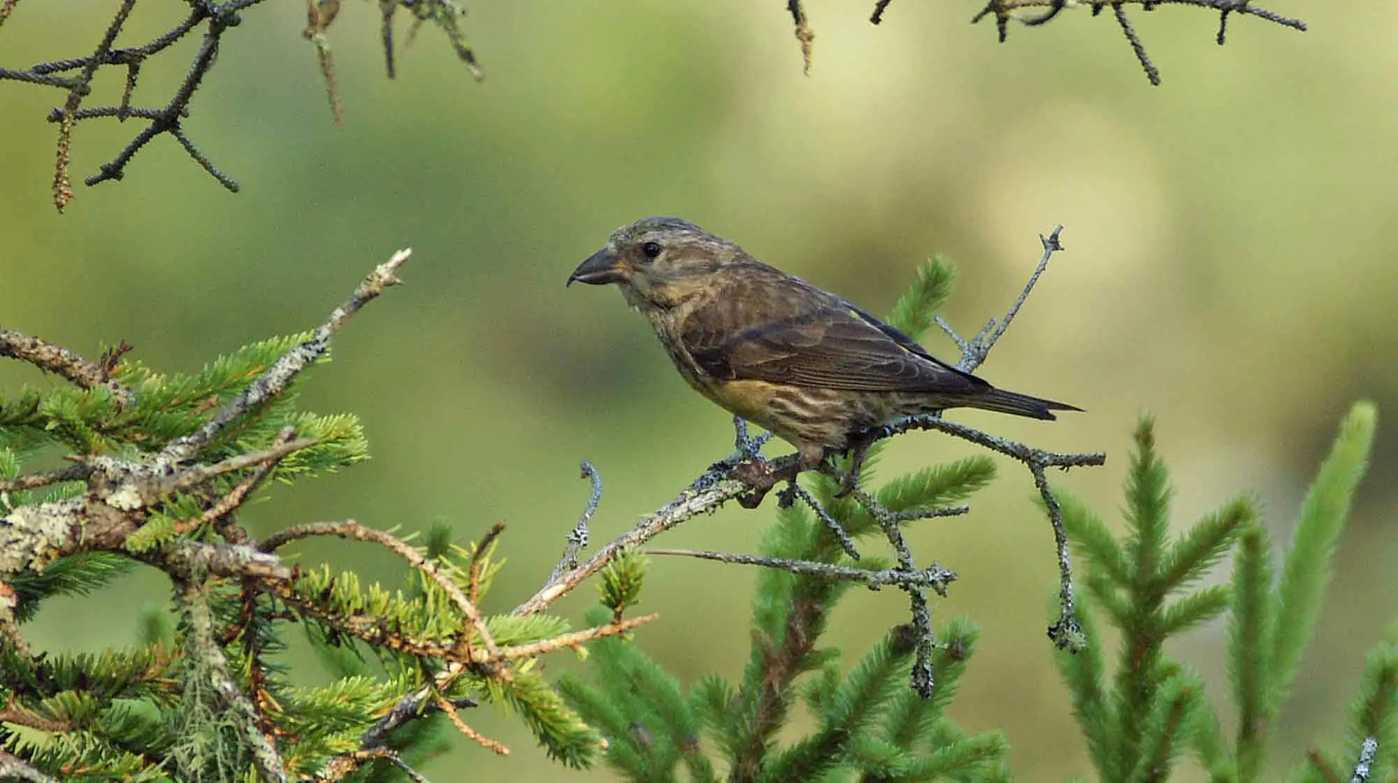 g3 MicrosoftTeams image 18 full