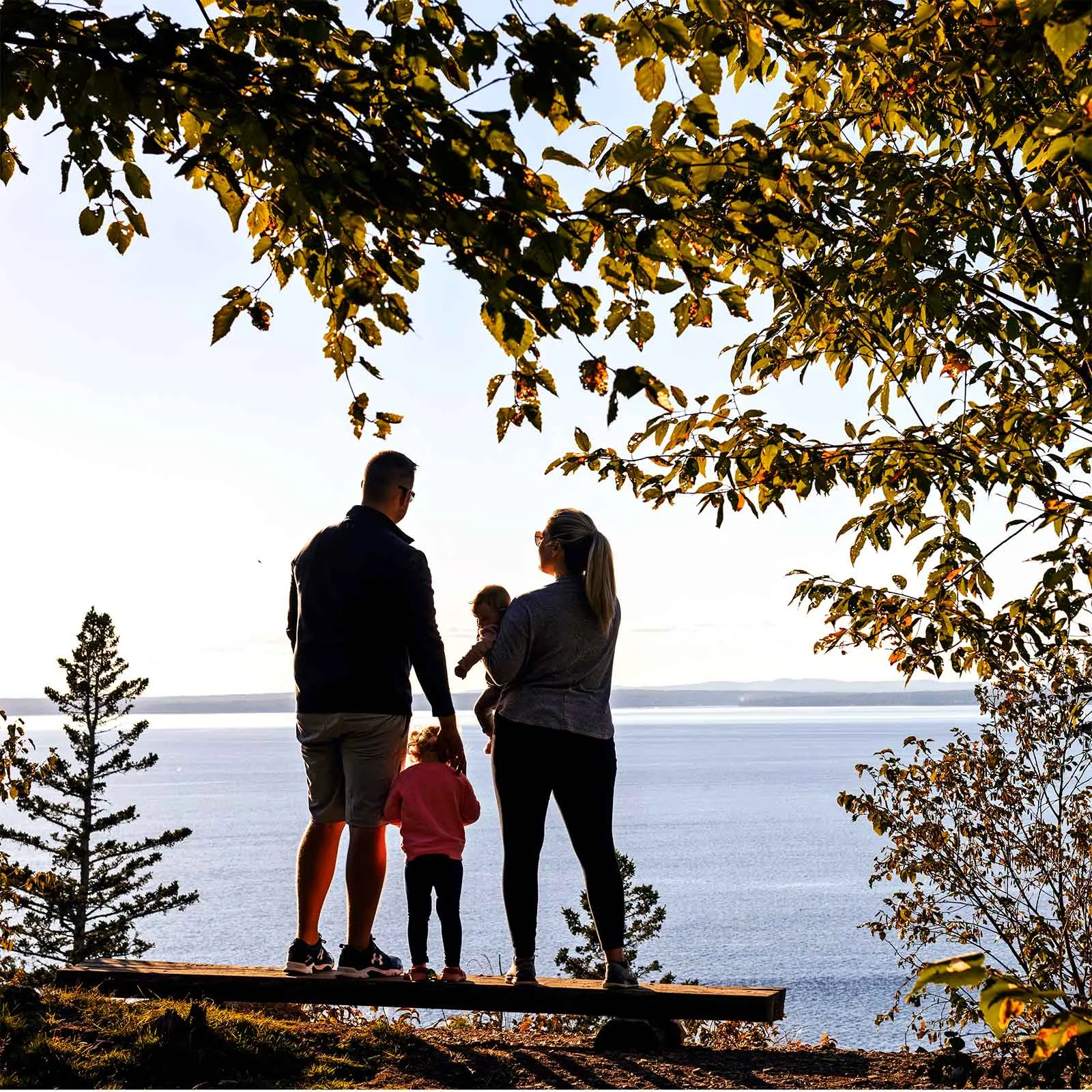 mcht 7L8A3015 square