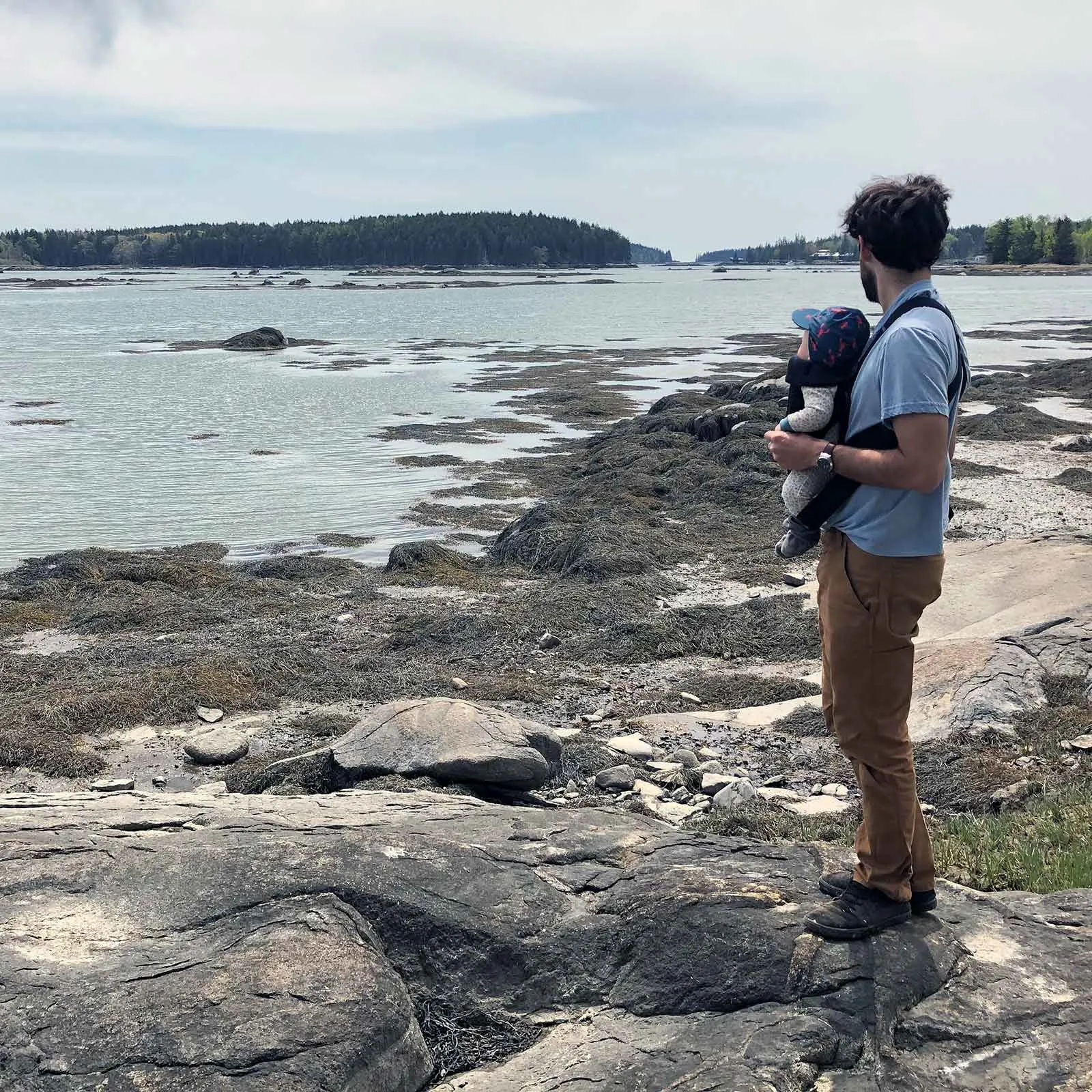 mcht Bamford 3 square