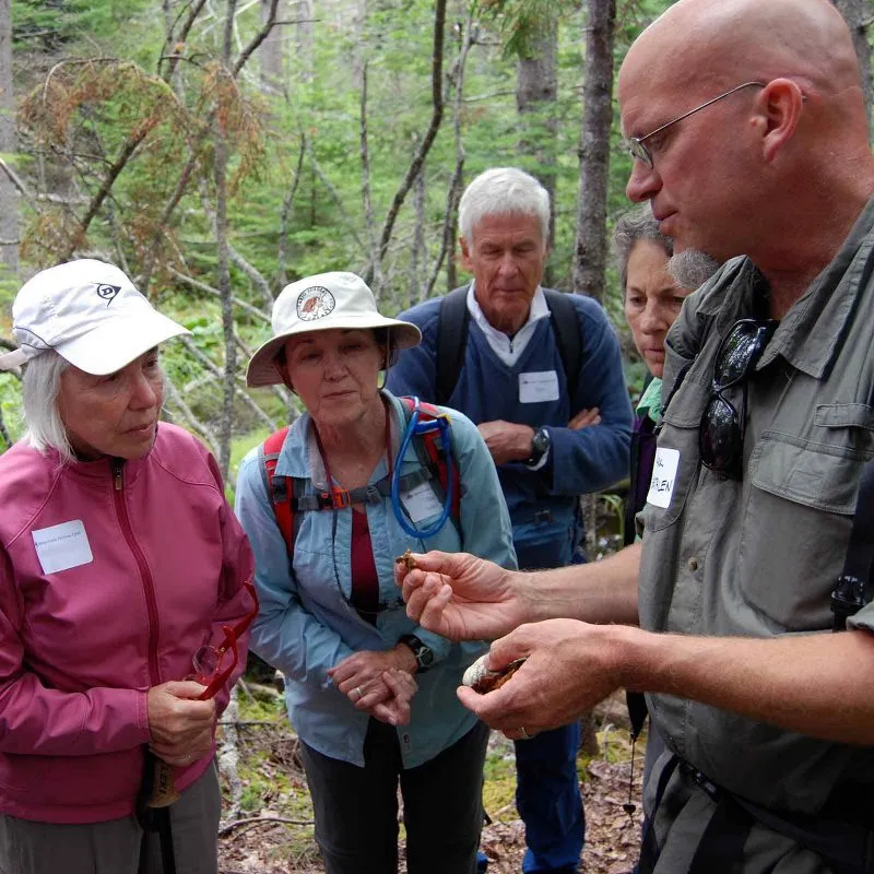 mcht Basin 207 square 800x800