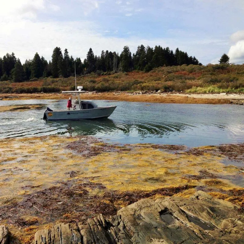 mcht CaitlinWhaleboat square 800x800