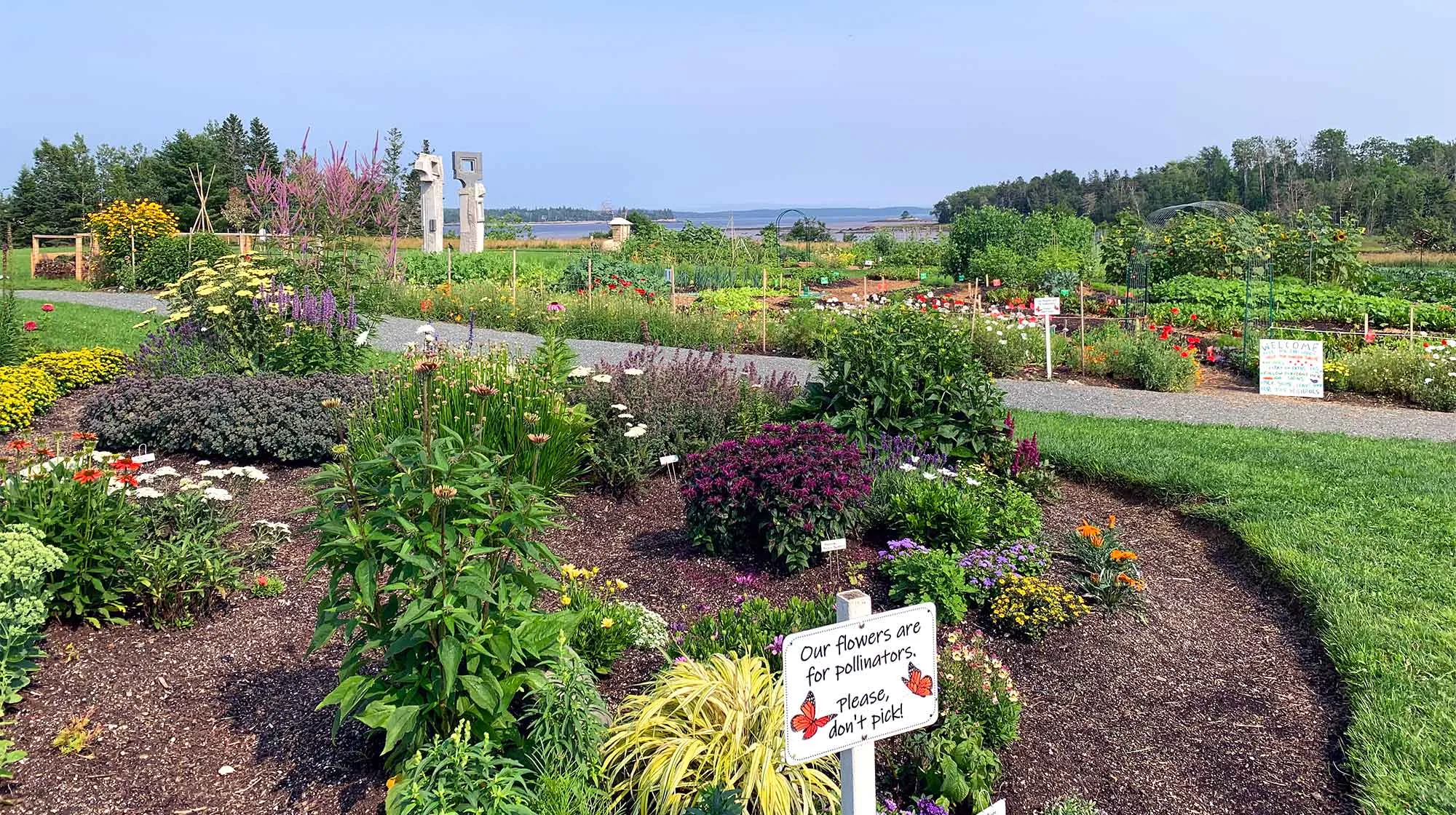 mcht Copy of SJB IMG 6051 full