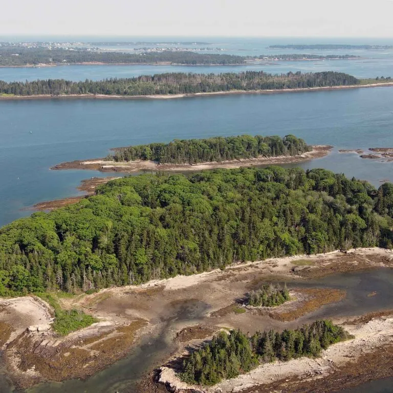 mcht DJI 0140 cover square 768x768