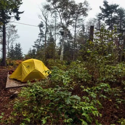 mcht Goslings 102013 53 full 420x420