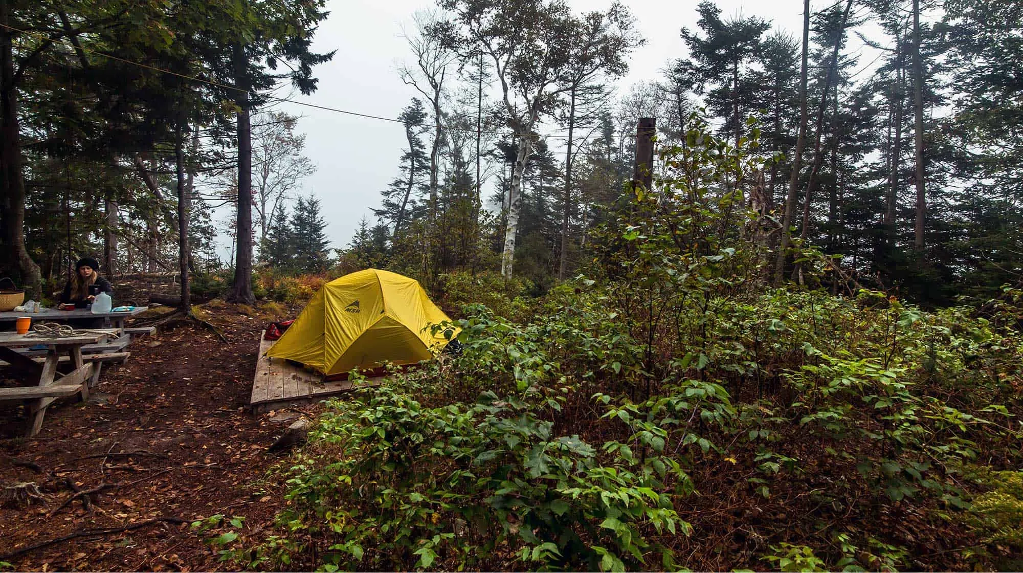 mcht Goslings 102013 53 full