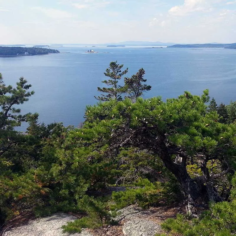 mcht Lookout Rock 2 .20210528131400692 square