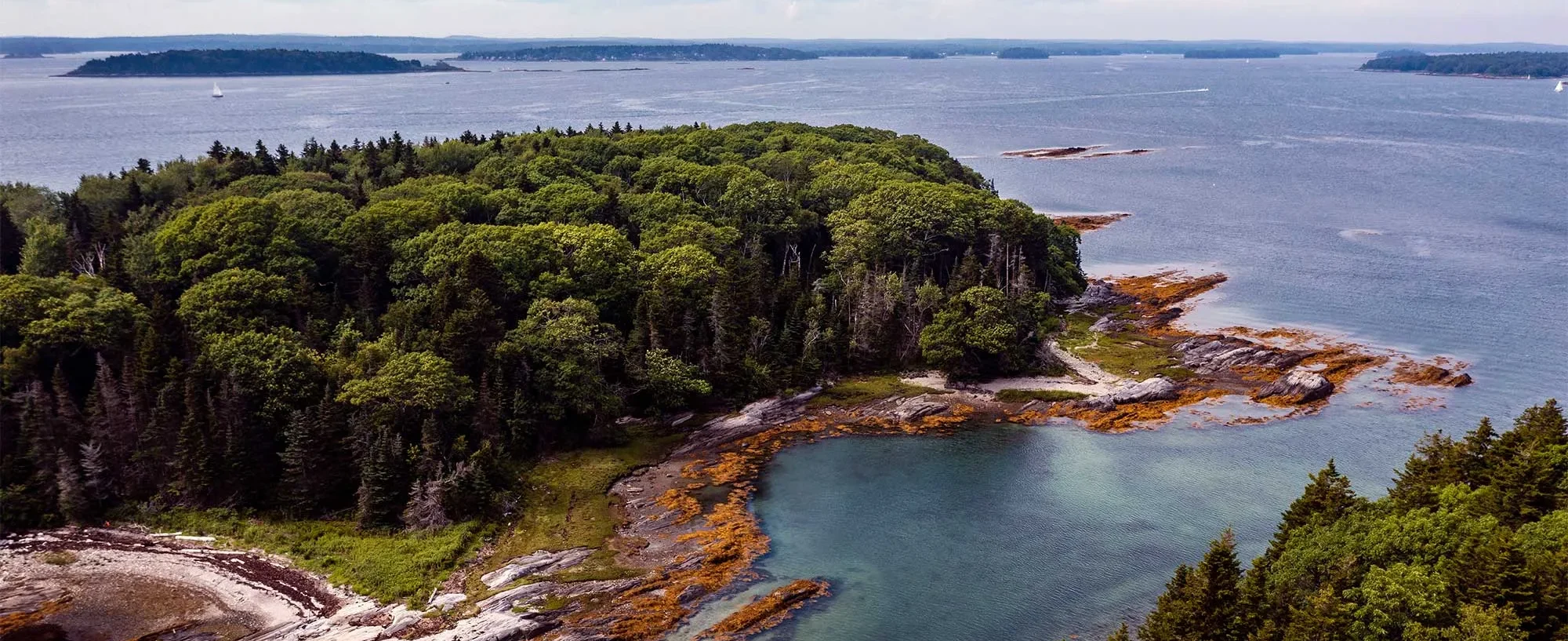 mcht Monkman Little Whaleboat 2021 003 full