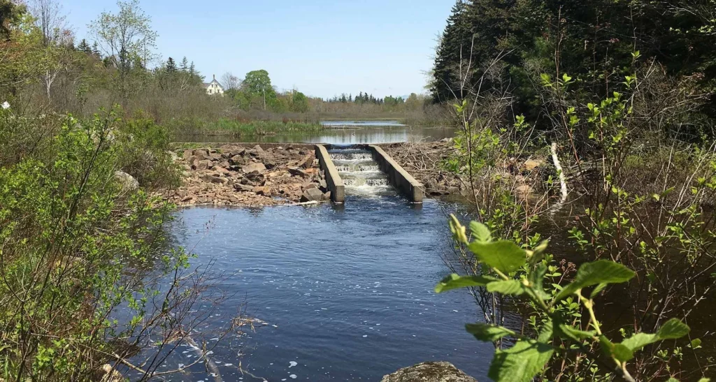 mcht PHOTO Seal Cove Pond Fishway IMG 8001 hero e1626457713835