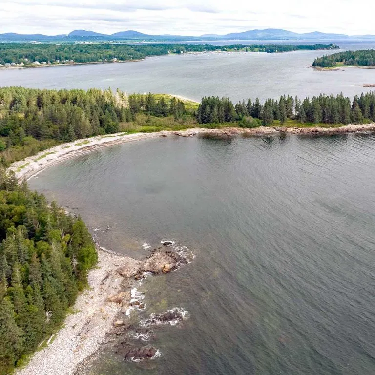 mcht Sheep Islanddji 0543 square 768x768