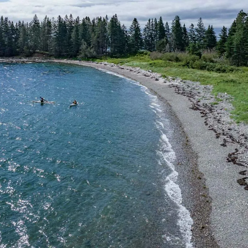 mcht Sheep Islanddji 0565 square 800x800