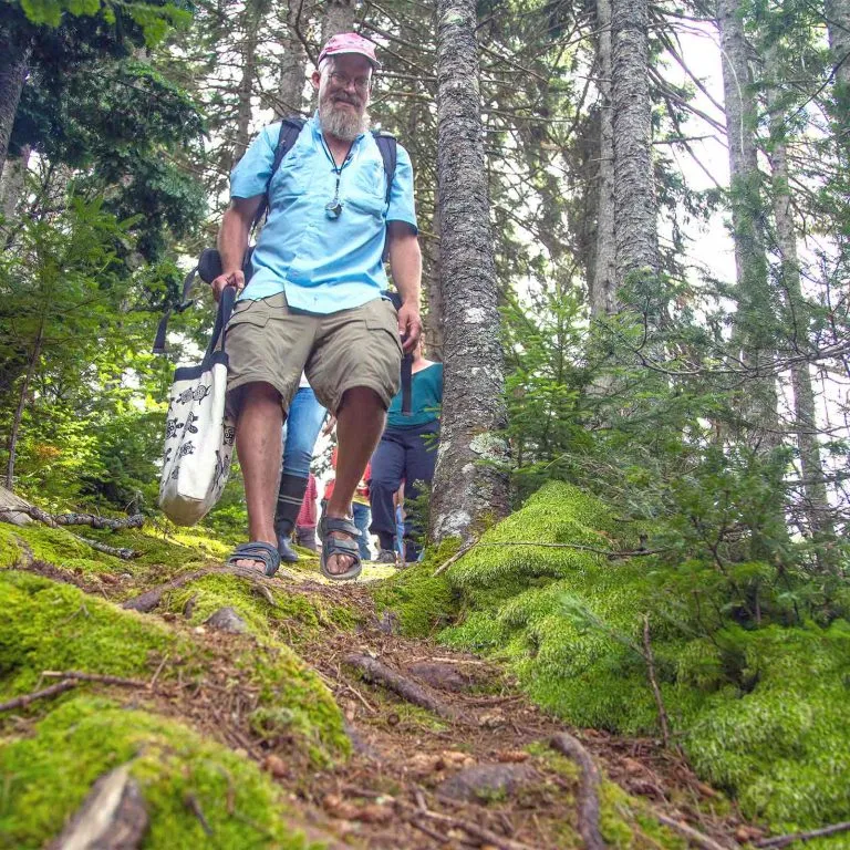 mcht Stewardship kirkmushrooms 07212013 07 square 768x768