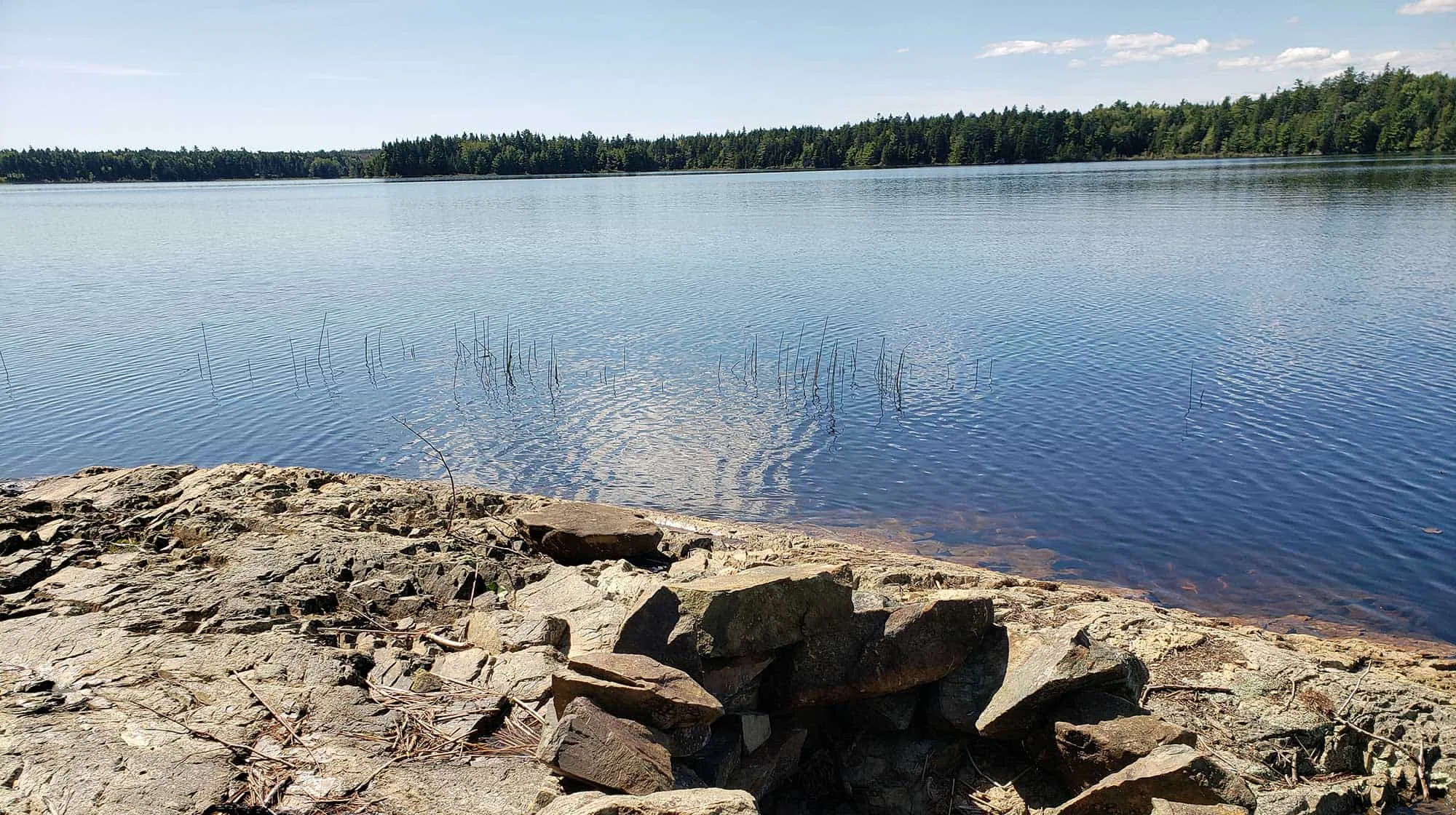 mcht TWO STEP 20190910 120549 full