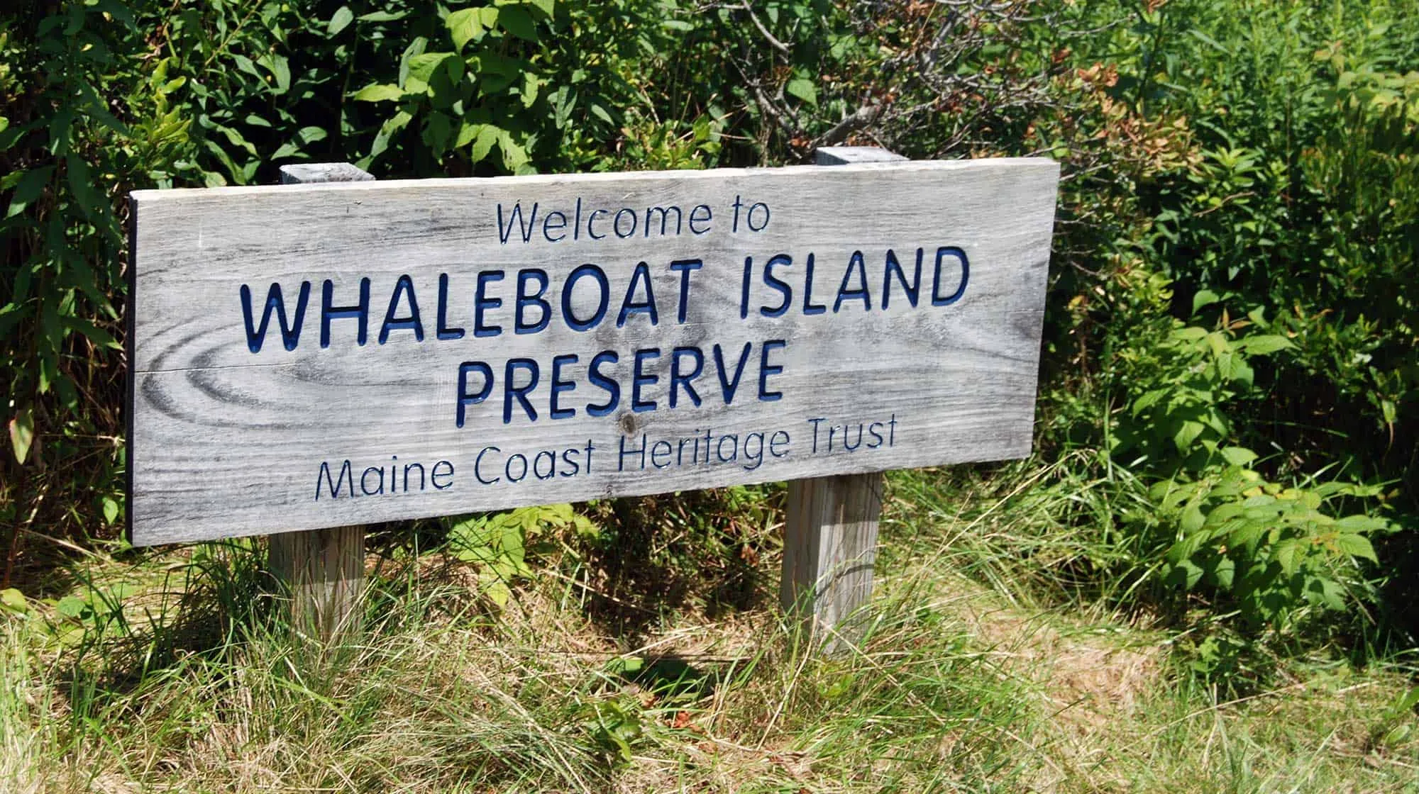 mcht Whaleboat Island Exploration 8.6 377 full