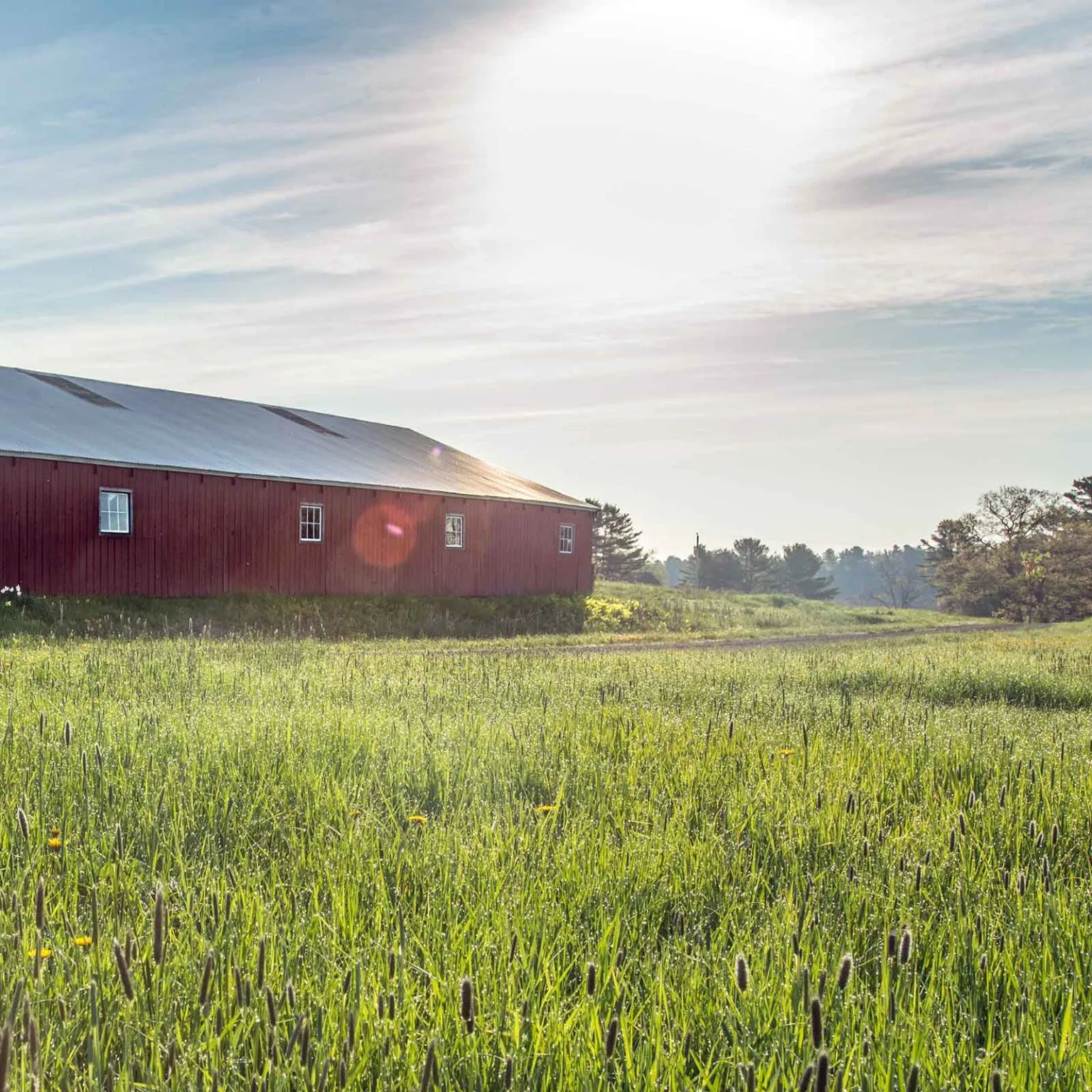 mcht Woodward Point kw03130.20210528131254389 square 1536x1536