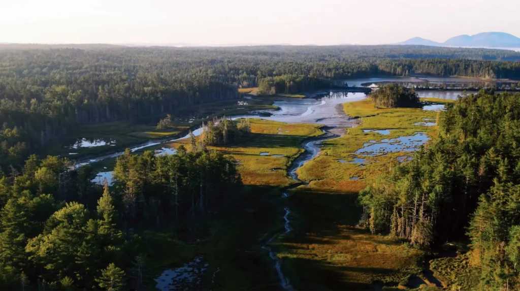 mcht notes 2023 04 cover