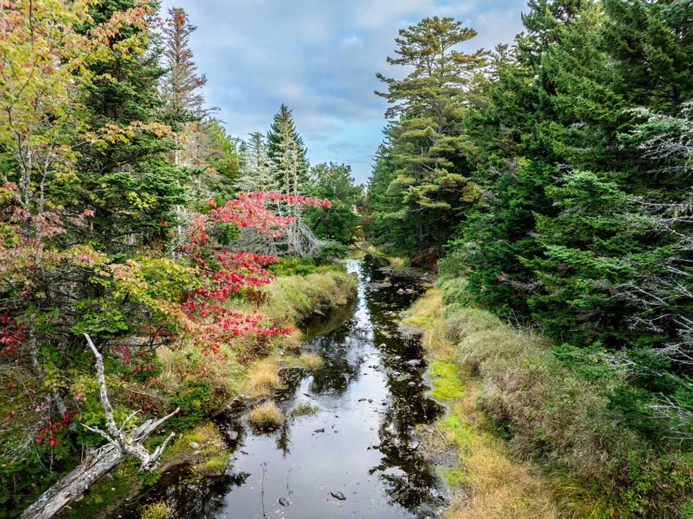 ryan malagara 1000x749